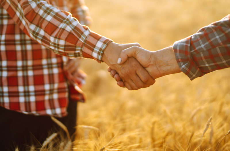 two people shaking hands in a field